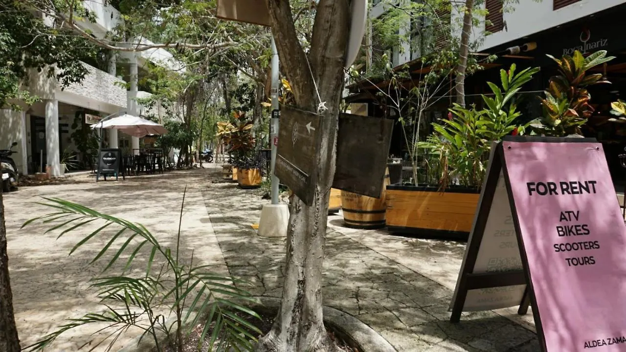 Lovely Studio Tulum Wi-Fi 100Mb Gym Eve Apartment